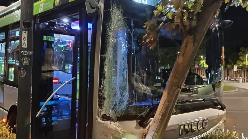 Il bus schiantato contro l'albero - © www.giornaledibrescia.it