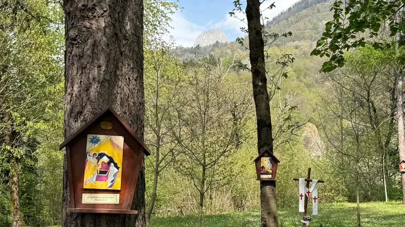 Il Pizzo Badile visto dal parco della Via Lucis