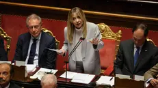 La premier Giorgia Meloni in Senato - Foto Ansa © www.giornaledibrescia.it