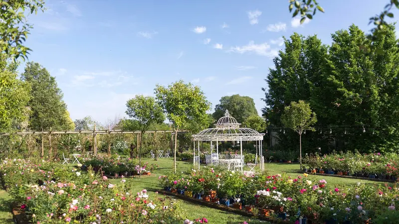 Gli spettacolari giardini del Castello