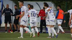 Un'esultanza di squadra a Renate - Foto Casarano Calcio