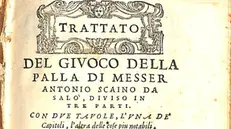 Alcune pagine del trattato di Scaino