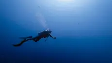 Un'immersione - Foto simbolica