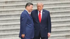 Donald Trump e Xi Jinping - Foto Ansa © www.giornaledibrescia.it
