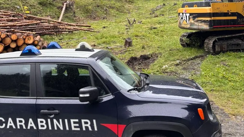 I carabinieri sul luogo dell'incidente