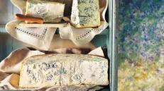Pezzi di Gorgonzola