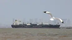 La nave Jag Vasant, carica di Gpl, una delle poche passate per lo Stretto di Hormuz - Foto Ansa © www.giornaledibrescia.it