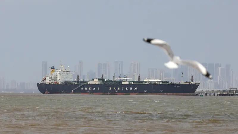 La nave Jag Vasant, carica di Gpl, una delle poche passate per lo Stretto di Hormuz - Foto Ansa © www.giornaledibrescia.it