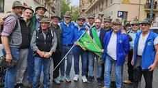 Il gruppo Alpini di Marone - © www.giornaledibrescia.it