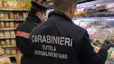 I controlli dei carabinieri del Nucleo Carabinieri Tutela Agroalimentare