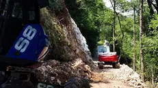 Per la strada montana interventi di messa in sicurezza