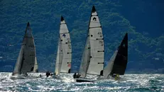 Lo spettacolo delle barche in acqua per la Gentlemen's Cup