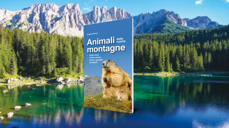 «Animali delle nostre montagne» di Virginia Perini