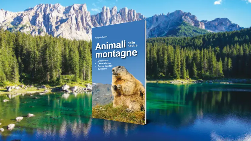 «Animali delle nostre montagne» di Virginia Perini