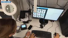Gli arresti sono stati eseguiti dalla Polizia postale