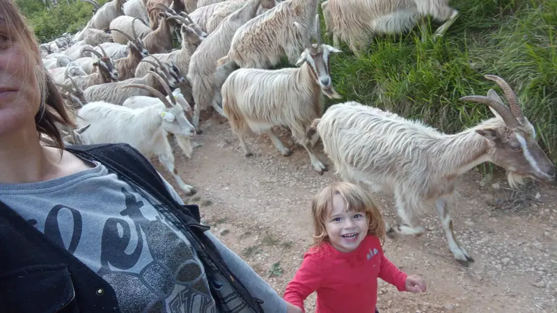 La gioia della piccola Martina con il suo gregge