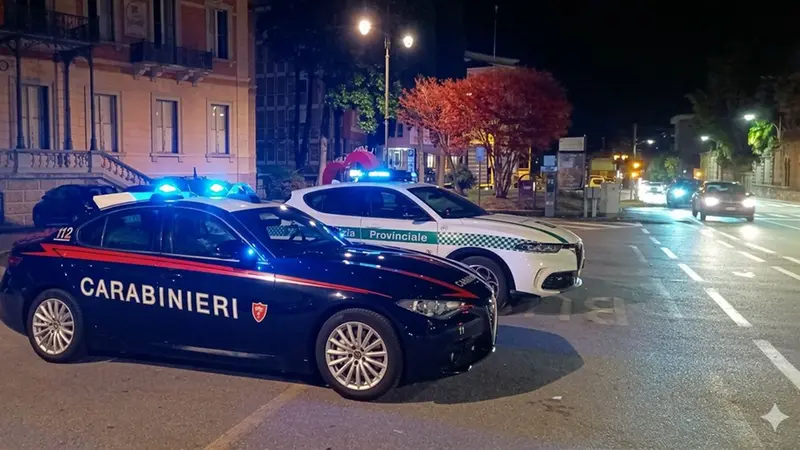 Controlli congiunti sulle strade della Valcamonica