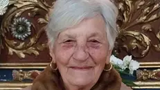 La signora Giulia era scomparsa da Lumezzane
