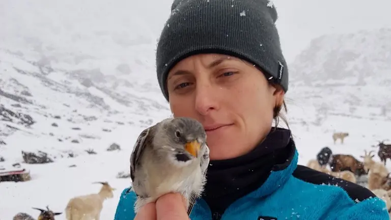 Chiara Bettega con un fringuello alpino appena inanellato - Foto Maria Delgado
