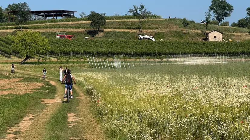 L'aereo precipitato nella campagna di Polpenazze - © www.giornaledibrescia.it