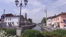 Isorella