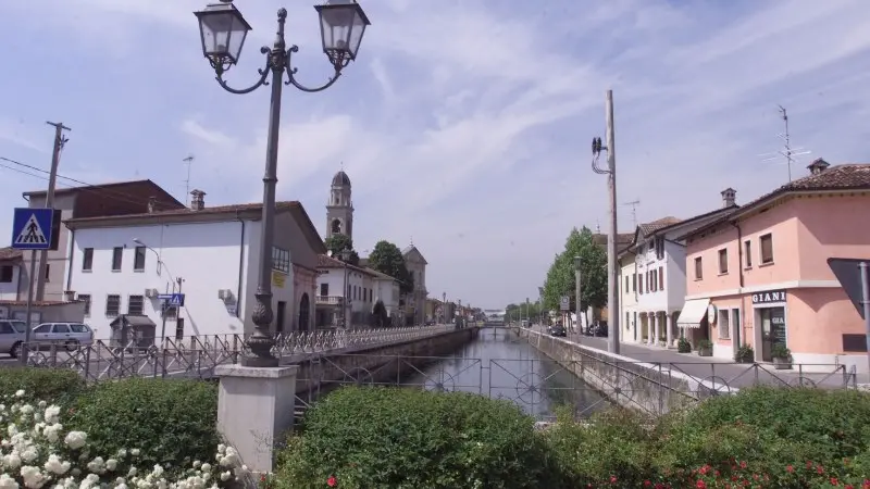 Isorella
