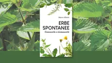 «Erbe spontanee. Conoscerle e riconoscerle», il volume di Marco Alberti