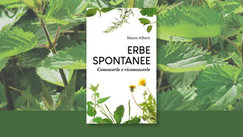 «Erbe spontanee. Conoscerle e riconoscerle», il volume di Marco Alberti