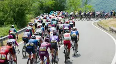 Giro d'Italia 2026: la salita da Brozzo a Lodrino