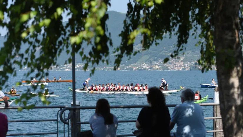 Festival dei Laghi Lombardi: 26 incontri gratuiti tra arte e musica