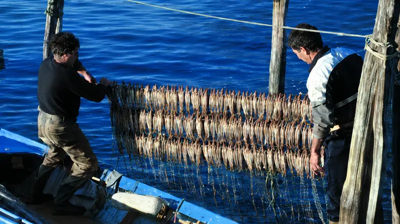 Pescatori di sarde sul Sebino