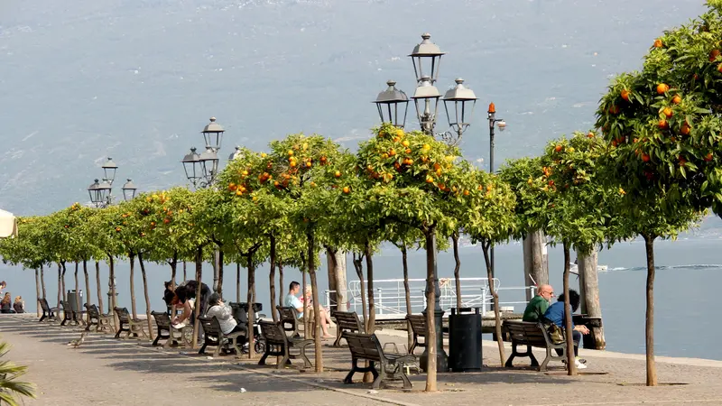 Meccaniche della Meraviglia porta i contemporanei sul lago di Garda
