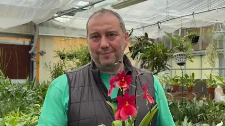 Il floricoltore Massimo Corazza © www.giornaledibrescia.it