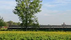 Un impianto fotovoltaico a terra - © www.giornaledibrescia.it