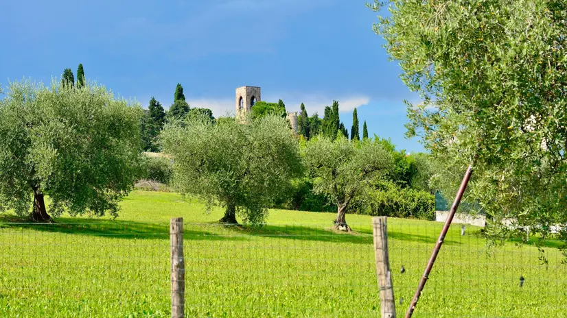 Un itinerario che regala scorci insoliti dell’entroterra