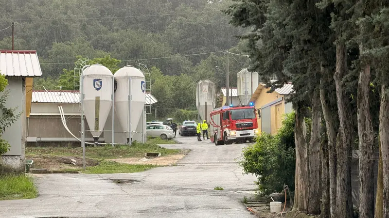 L'azienda agricola dove è avvenuto l'incidente