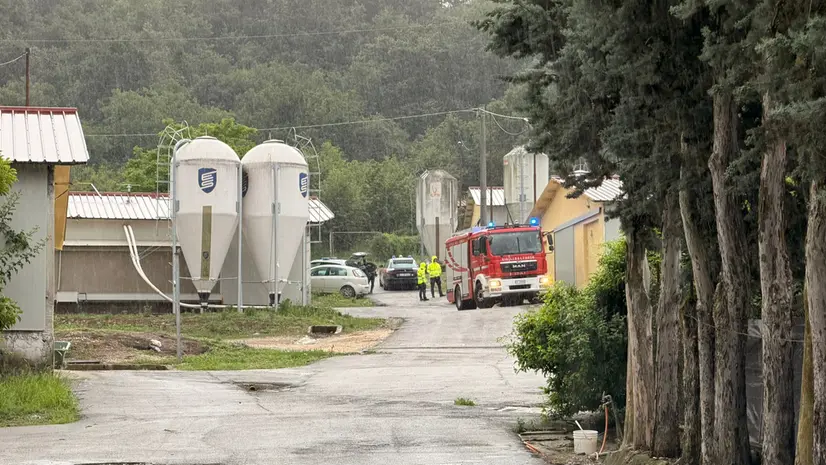 L'azienda agricola dove è avvenuto l'incidente