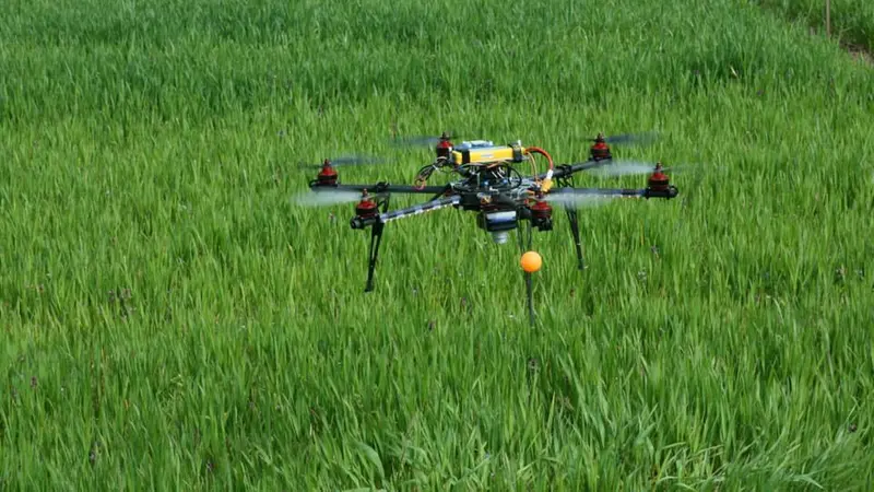 Un drone di Agridroni al lavoro nei campi