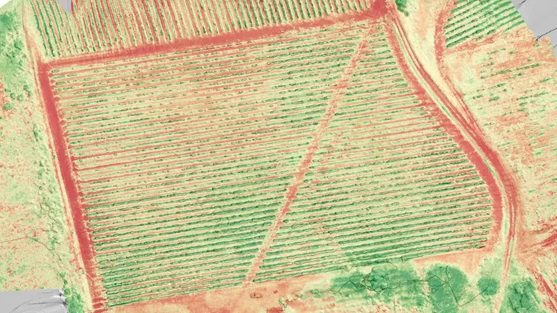 La mappatura di un vigneto