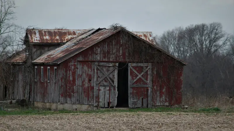 «Barn find» significa letteralmente «ritrovamento nel fienile»
