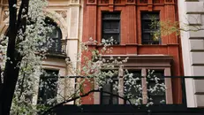 Nelle case newyorkesi le finestre senza finestre sono simbolo di quiet luxury