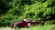 Mille Miglia 2026, il passaggio sui Colli Euganei