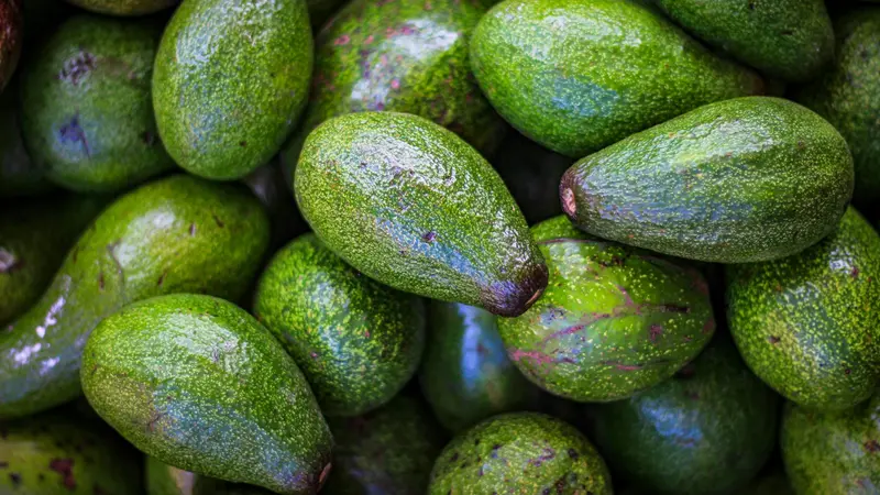 L'avocado è uno di quei cibi che viene spesso associato ai termini «dieta» o «sano»
