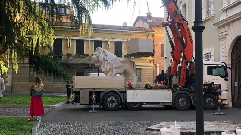 Uno dei leoni che viene spostato da piazza Moretto, davanti alla Pinacoteca Tosio Martinengo - © www.giornaledibrescia.it