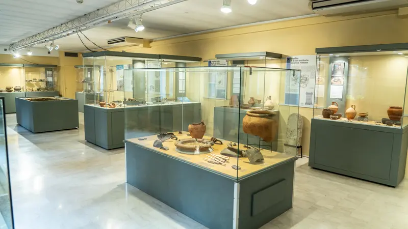 Nelle vetrine i tesori provenienti dalle necropoli