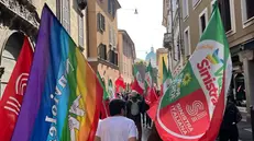 Militanti di Sinistra Italiana-Avs durante una manifestazione