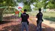 La Polizia al parco Alberini