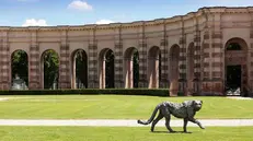 Il "Ghepardo" di Davide Rivalta, qui a Palazzo Te di Mantova - © www.giornaledibrescia.it