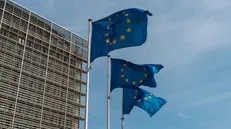 Palazzo Berlaymont, sede della Commissione europea