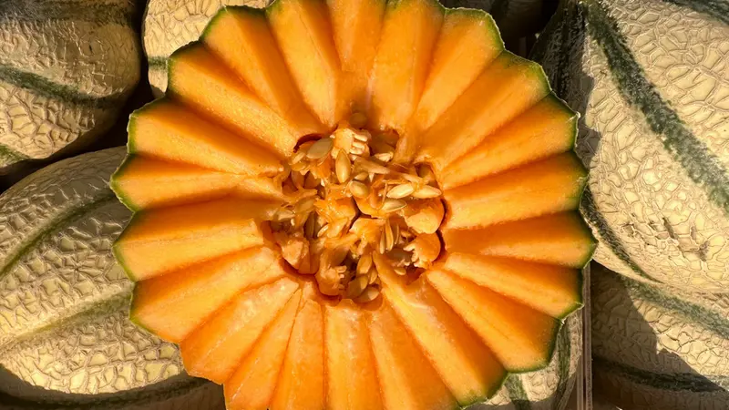 Melone